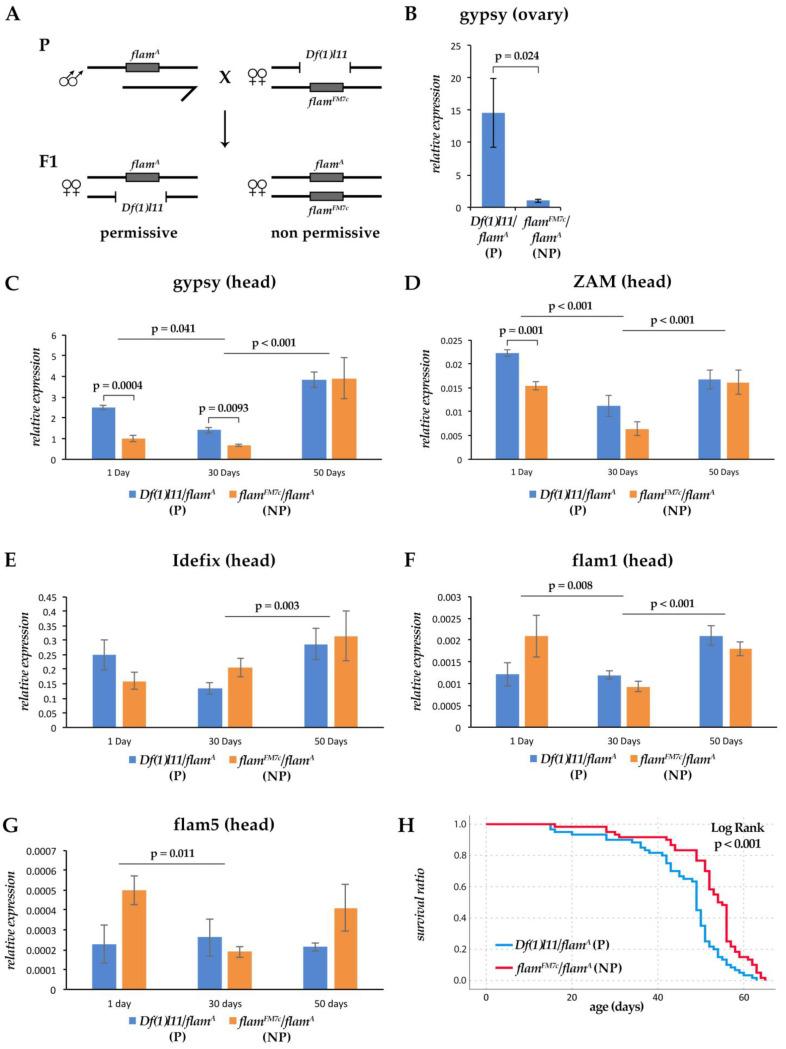 https://cdn.ncbi.nlm.nih.gov/pmc/blobs/731a/8750722/0f535a5ab71a/cells-11-00079-g002.jpg