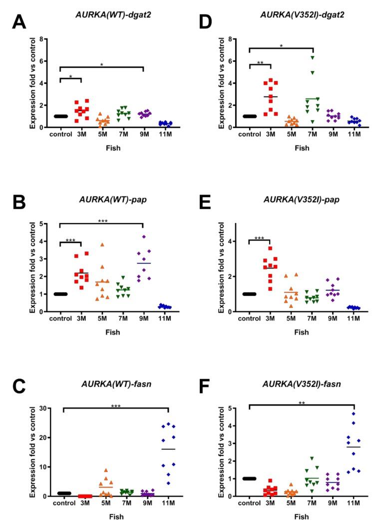 https://cdn.ncbi.nlm.nih.gov/pmc/blobs/732f/6678475/09b0535dbf0b/cancers-11-00927-g003.jpg