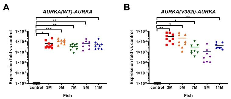 https://cdn.ncbi.nlm.nih.gov/pmc/blobs/732f/6678475/2f8a7402cddb/cancers-11-00927-g001.jpg