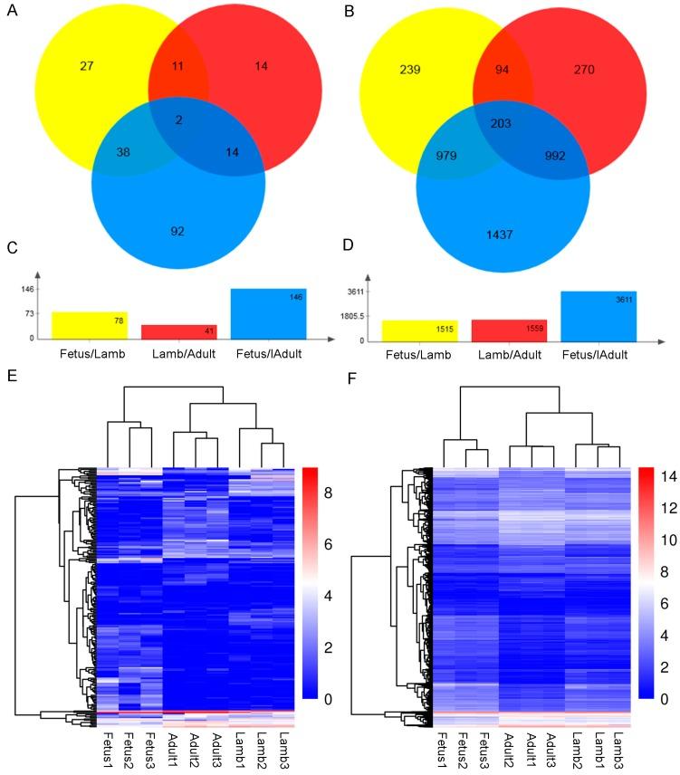 https://cdn.ncbi.nlm.nih.gov/pmc/blobs/734c/5575655/4f8484ecbe46/genes-08-00191-g004.jpg