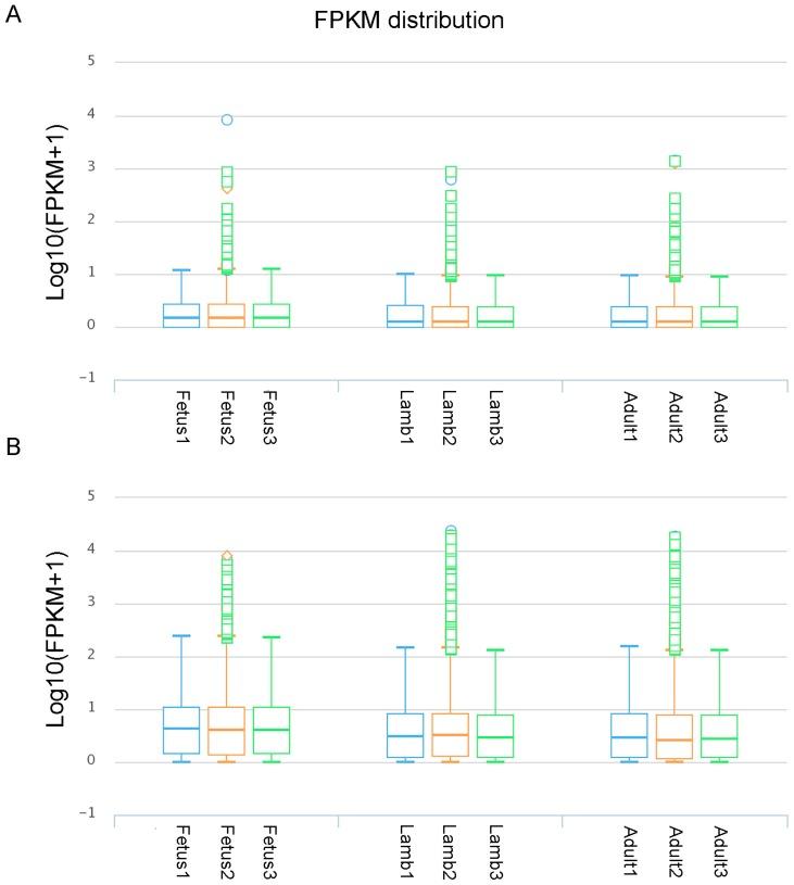 https://cdn.ncbi.nlm.nih.gov/pmc/blobs/734c/5575655/6b6d75b98f3f/genes-08-00191-g002.jpg
