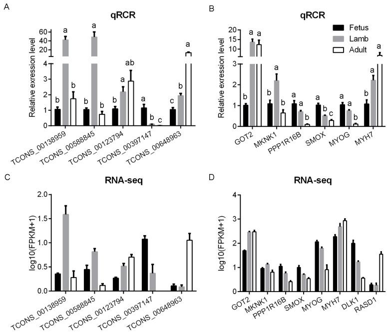 https://cdn.ncbi.nlm.nih.gov/pmc/blobs/734c/5575655/9970b6ceb189/genes-08-00191-g005.jpg