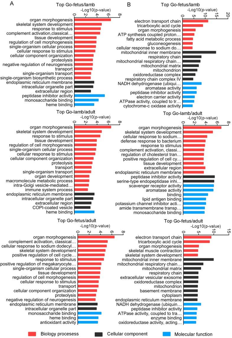 https://cdn.ncbi.nlm.nih.gov/pmc/blobs/734c/5575655/cf7be0227d04/genes-08-00191-g006.jpg