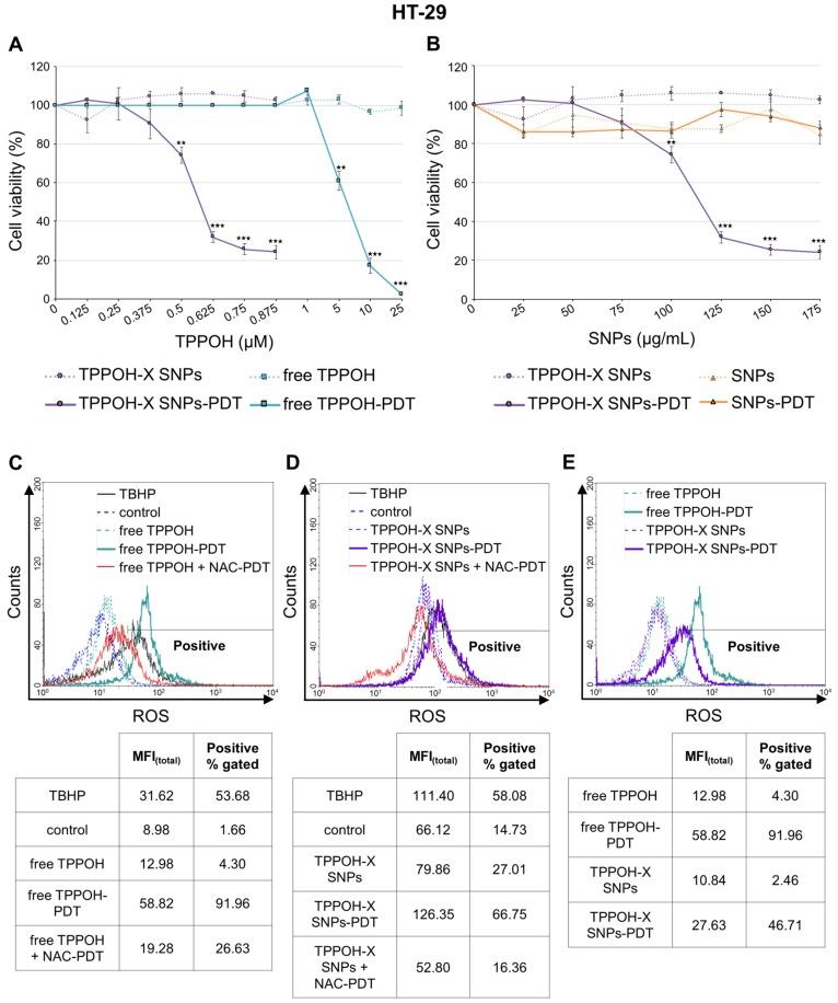 https://cdn.ncbi.nlm.nih.gov/pmc/blobs/7351/6826978/8f74f4a61dd1/cancers-11-01474-g001.jpg