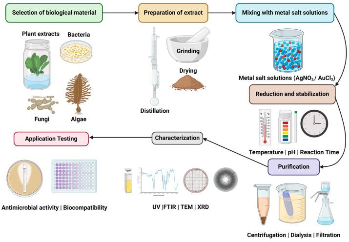 https://cdn.ncbi.nlm.nih.gov/pmc/blobs/7361/11430415/518fdf1c5286/biomolecules-14-01082-g004.jpg