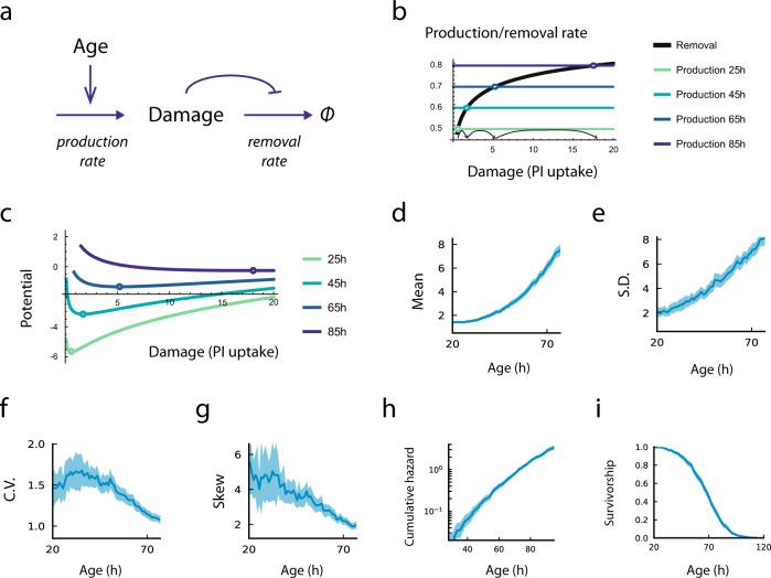 https://cdn.ncbi.nlm.nih.gov/pmc/blobs/7367/10113371/bbb707b259ce/41467_2023_37930_Fig4_HTML.jpg