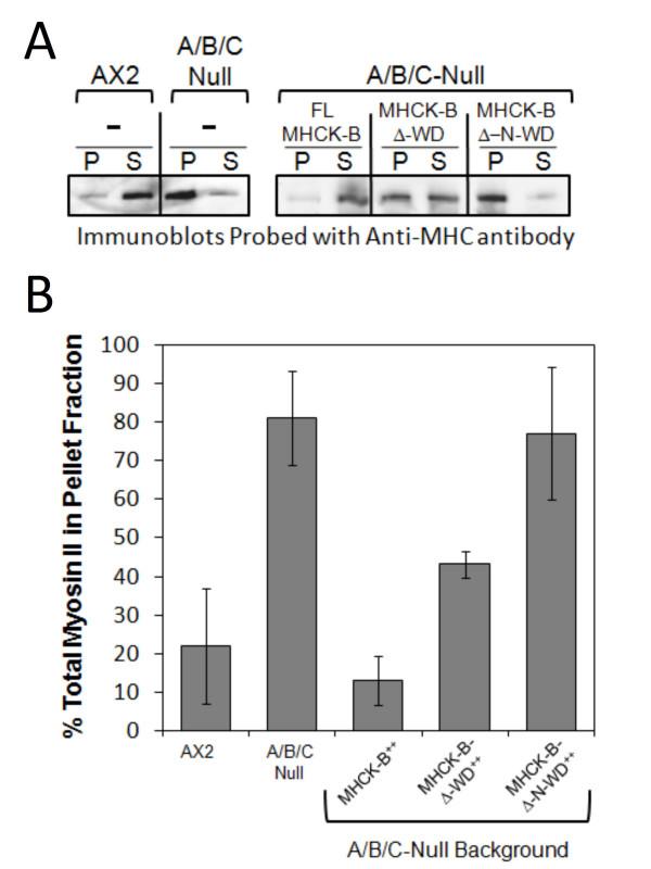 https://cdn.ncbi.nlm.nih.gov/pmc/blobs/736e/2838905/28e80dec40ab/1756-0500-3-56-5.jpg