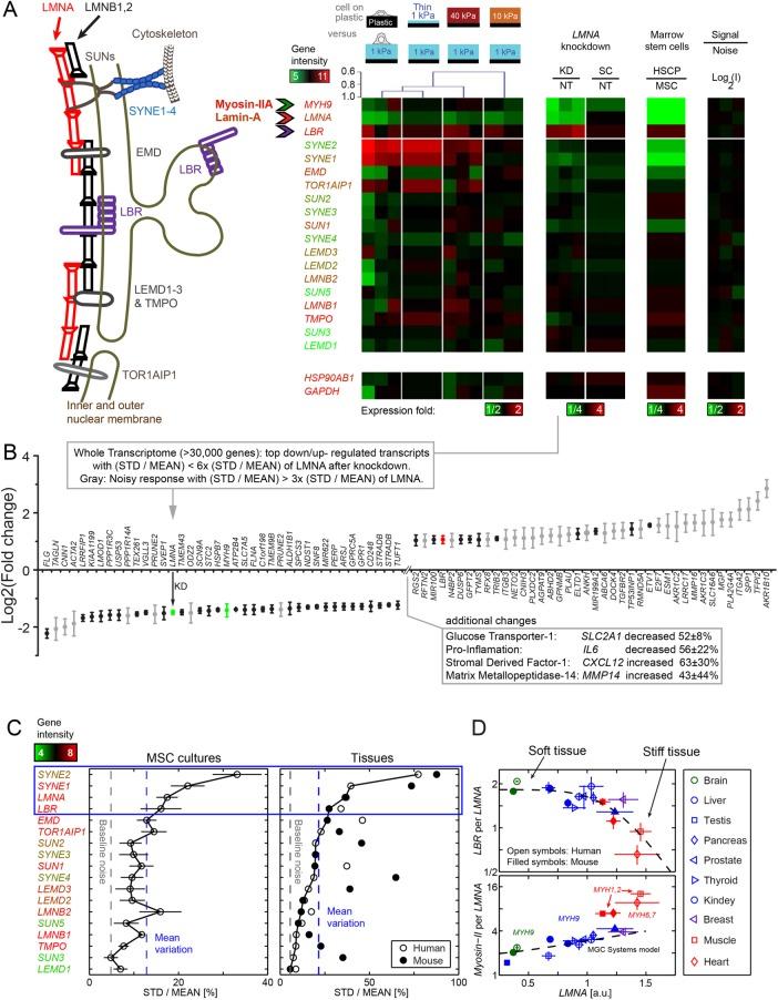 https://cdn.ncbi.nlm.nih.gov/pmc/blobs/738d/5687034/e56704f79534/3333fig4.jpg