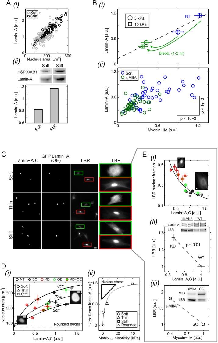 https://cdn.ncbi.nlm.nih.gov/pmc/blobs/738d/5687034/e862245c65aa/3333fig6.jpg