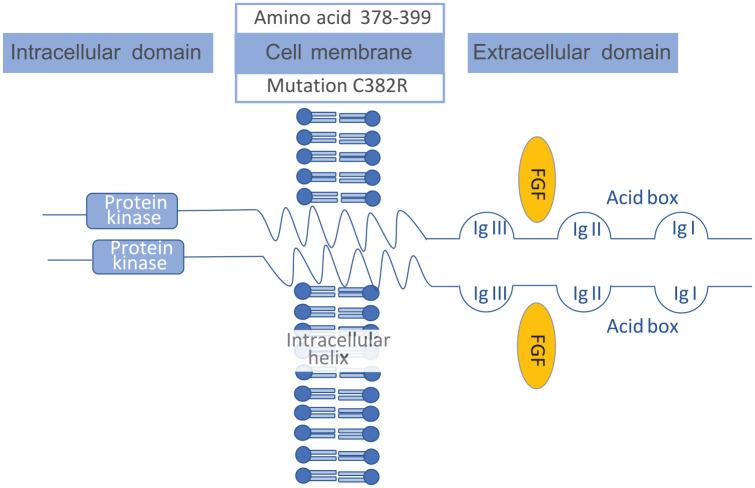 https://cdn.ncbi.nlm.nih.gov/pmc/blobs/7397/9520138/1a76c5e78b7b/10.1177_17588359221125096-fig1.jpg