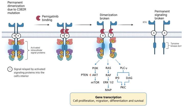 https://cdn.ncbi.nlm.nih.gov/pmc/blobs/7397/9520138/ee0d7789901c/10.1177_17588359221125096-fig3.jpg