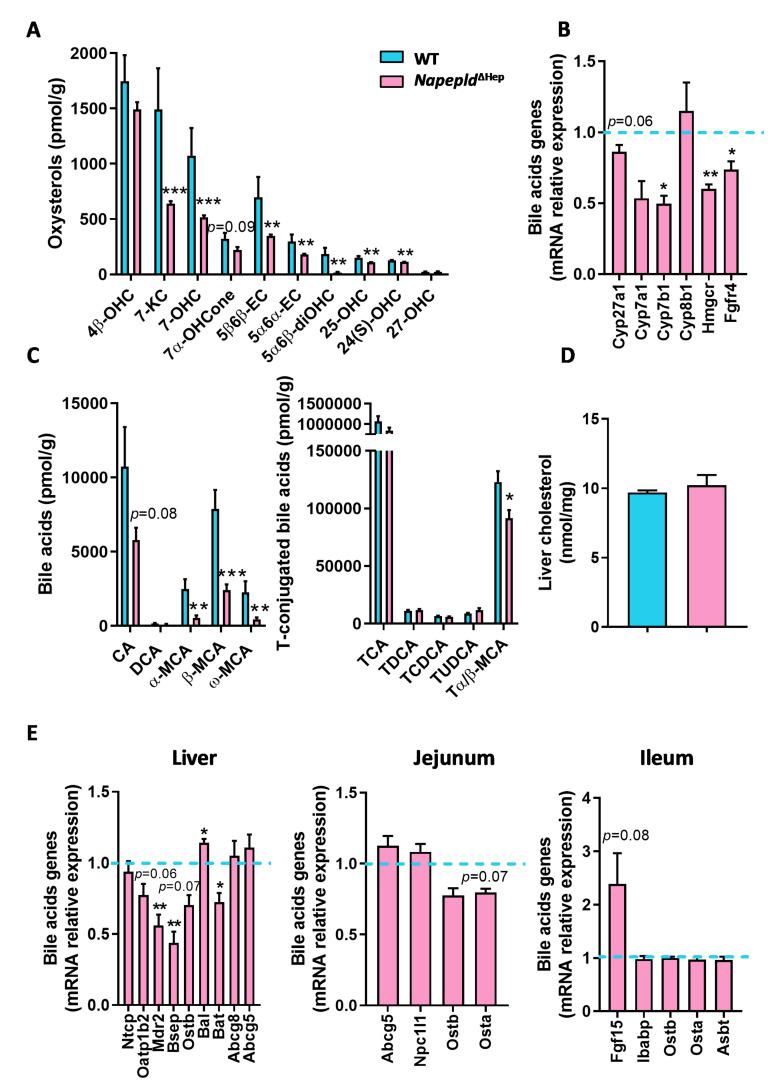 https://cdn.ncbi.nlm.nih.gov/pmc/blobs/739c/7291298/fdc8a52b8850/cells-09-01247-g004.jpg