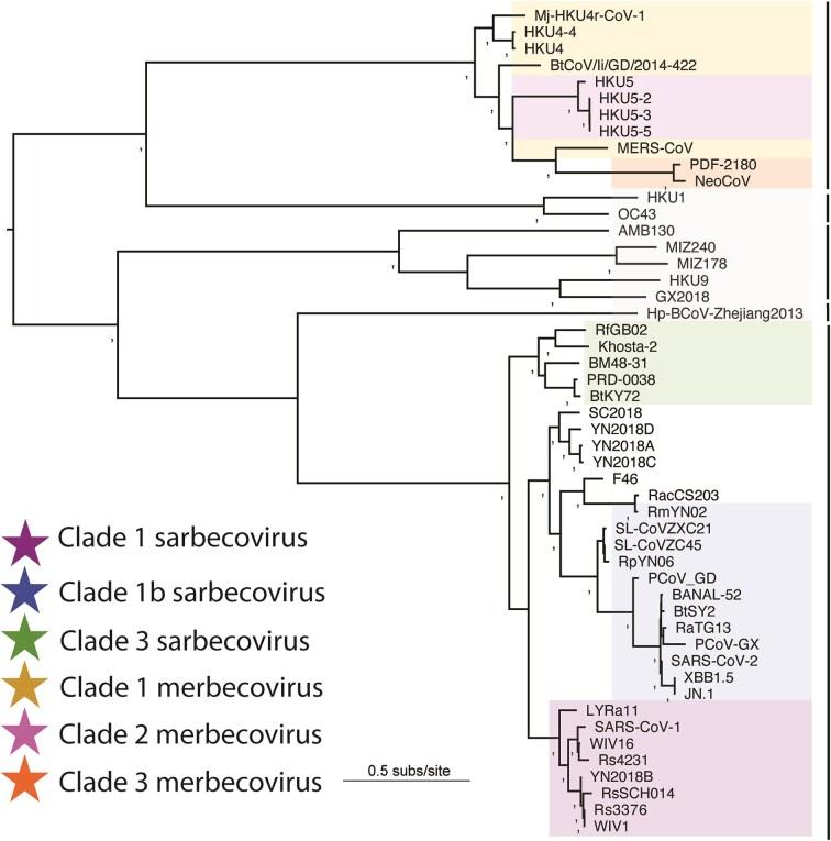 https://cdn.ncbi.nlm.nih.gov/pmc/blobs/73c4/12202883/65ba5153ff91/fuaf023fig3.jpg