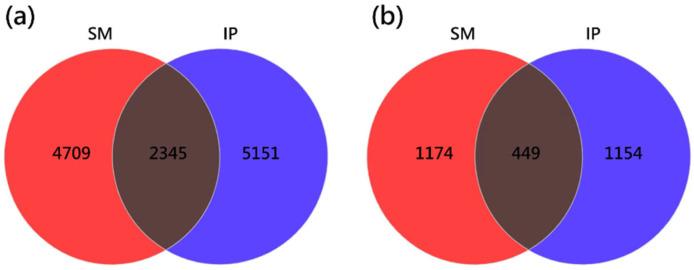 https://cdn.ncbi.nlm.nih.gov/pmc/blobs/73cc/12298177/da27a1953885/microorganisms-13-01703-g001.jpg