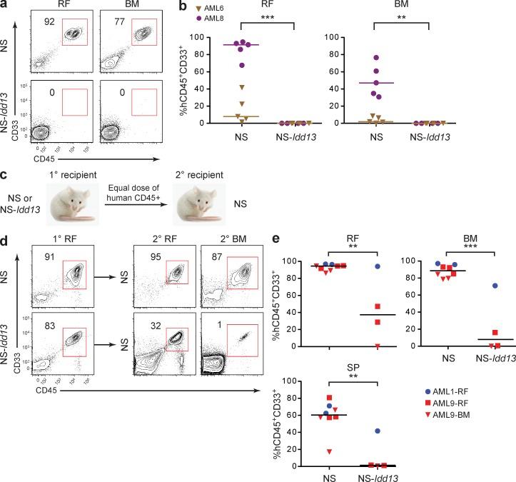 https://cdn.ncbi.nlm.nih.gov/pmc/blobs/73cc/3457732/26ee8c54dc83/JEM_20120502_Fig3.jpg