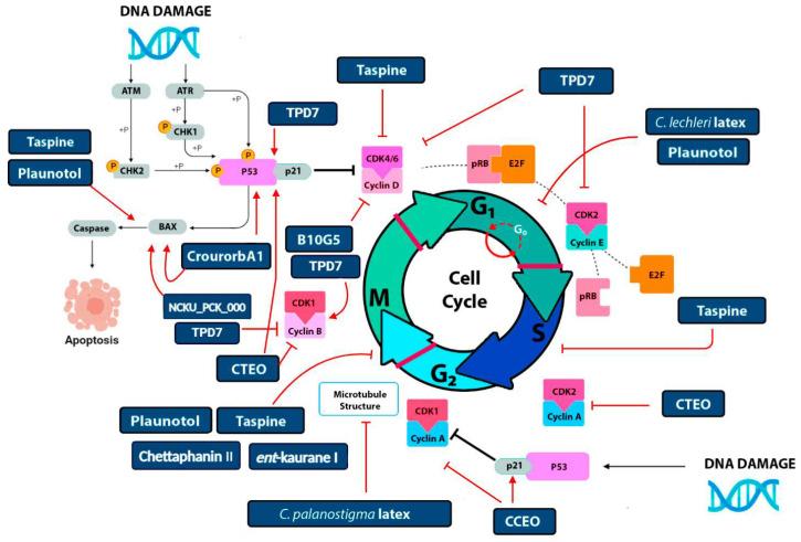 https://cdn.ncbi.nlm.nih.gov/pmc/blobs/73cf/12029420/1776fbee113d/metabolites-15-00216-g004.jpg