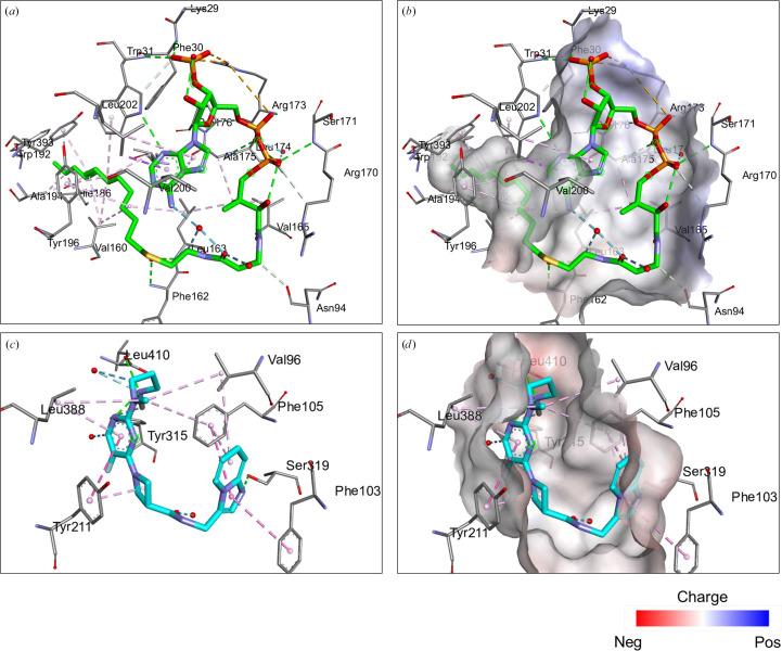 https://cdn.ncbi.nlm.nih.gov/pmc/blobs/73d1/11448930/48d682113221/f-80-00269-fig2.jpg