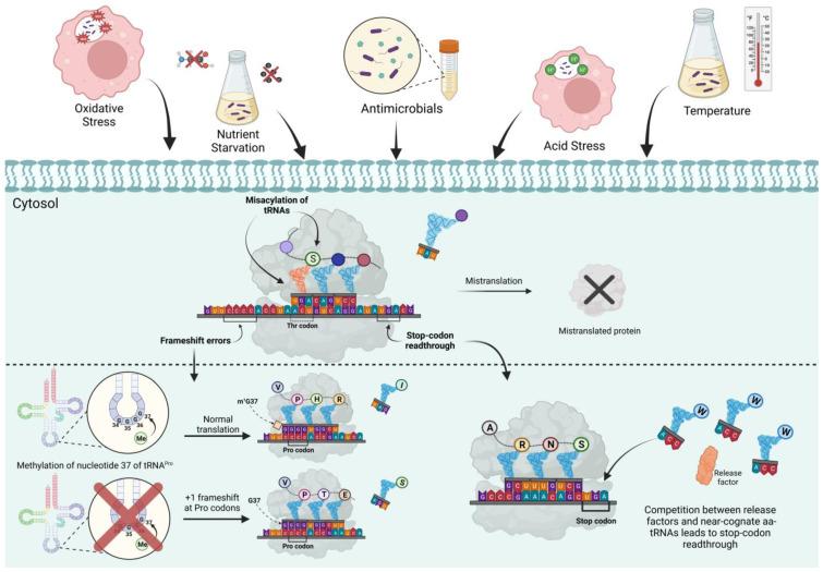 https://cdn.ncbi.nlm.nih.gov/pmc/blobs/73fa/10057733/1b7ec35c7f76/pathogens-12-00383-g001.jpg