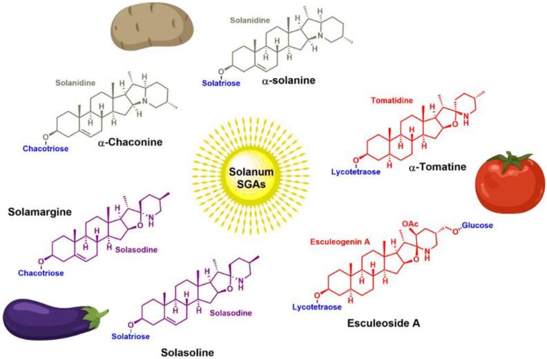 https://cdn.ncbi.nlm.nih.gov/pmc/blobs/73ff/10343844/3bdc5abbafe6/molecules-28-04957-g005.jpg