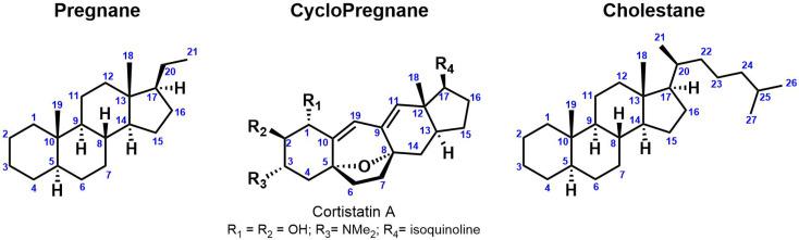 https://cdn.ncbi.nlm.nih.gov/pmc/blobs/73ff/10343844/addc68eaf6f3/molecules-28-04957-g002.jpg