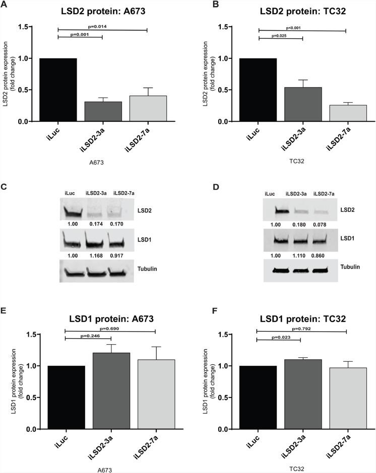 https://cdn.ncbi.nlm.nih.gov/pmc/blobs/740e/6570473/d50e49b87334/oncotarget-10-3865-g003.jpg