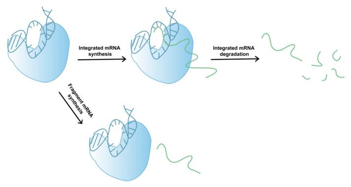 https://cdn.ncbi.nlm.nih.gov/pmc/blobs/7416/11173937/463226e3929e/molecules-29-02461-g002.jpg
