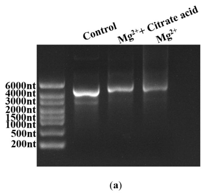 https://cdn.ncbi.nlm.nih.gov/pmc/blobs/7416/11173937/5b36d2449e75/molecules-29-02461-g009a.jpg