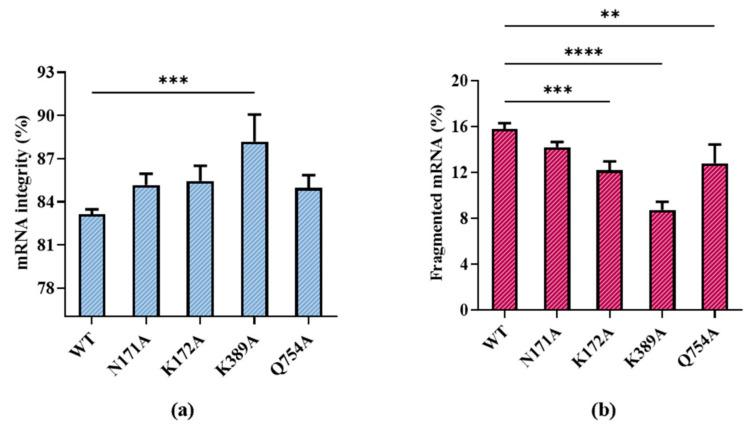 https://cdn.ncbi.nlm.nih.gov/pmc/blobs/7416/11173937/e8a80947aaae/molecules-29-02461-g006.jpg