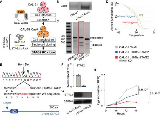 https://cdn.ncbi.nlm.nih.gov/pmc/blobs/742f/5514935/3912a4e6c8d7/oncotarget-08-37619-g003.jpg