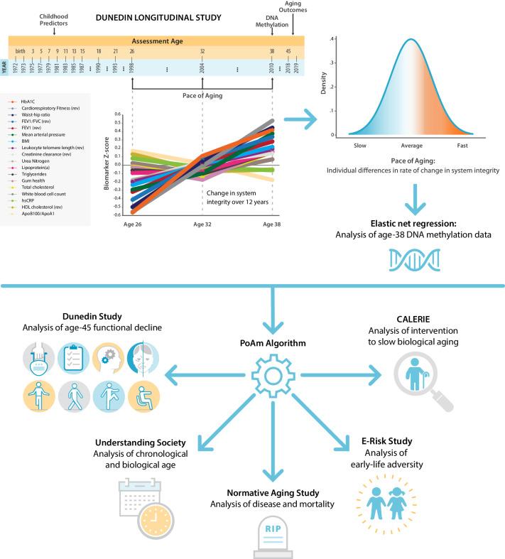 https://cdn.ncbi.nlm.nih.gov/pmc/blobs/7431/7282814/e797caf06f7b/elife-54870-fig1.jpg