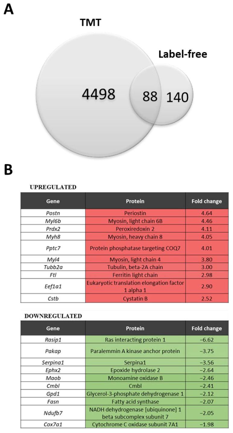 https://cdn.ncbi.nlm.nih.gov/pmc/blobs/7443/10669179/012ff6e80f59/biomolecules-13-01648-g001a.jpg