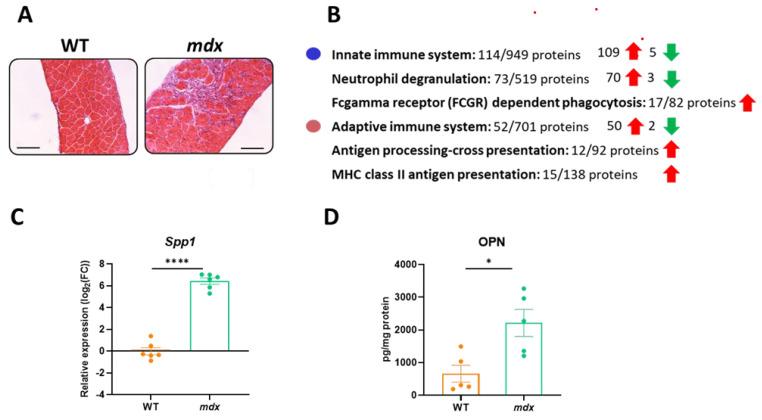 https://cdn.ncbi.nlm.nih.gov/pmc/blobs/7443/10669179/48bfcb15d165/biomolecules-13-01648-g003.jpg