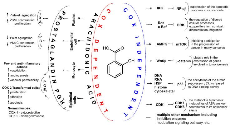 https://cdn.ncbi.nlm.nih.gov/pmc/blobs/746c/9738180/2eb59bd0b100/molecules-27-08412-g004.jpg