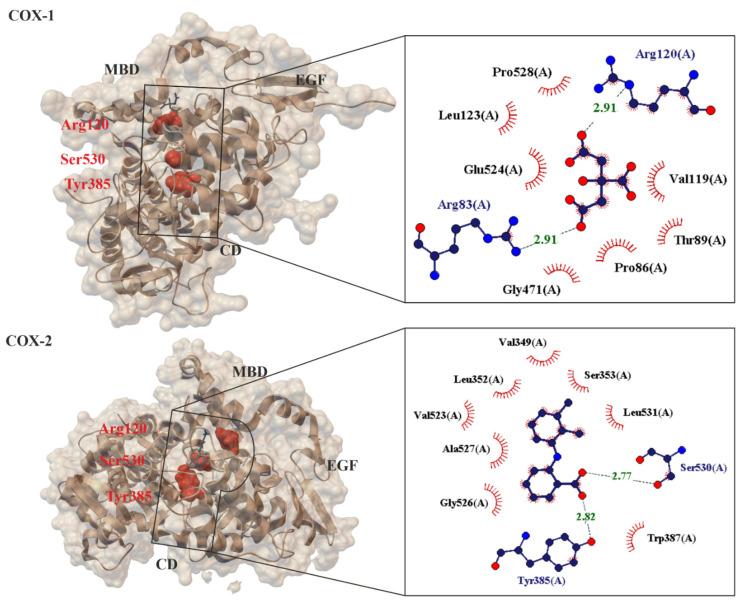 https://cdn.ncbi.nlm.nih.gov/pmc/blobs/746c/9738180/6a098441e6df/molecules-27-08412-g003.jpg