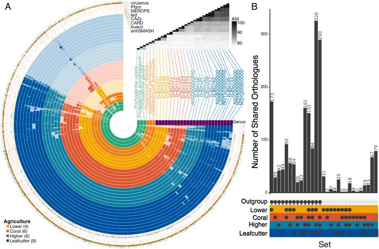 https://cdn.ncbi.nlm.nih.gov/pmc/blobs/74ac/9907069/0c54d97488e8/pnas.2213096119fig03.jpg