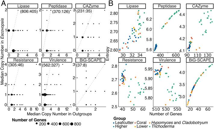 https://cdn.ncbi.nlm.nih.gov/pmc/blobs/74ac/9907069/9e8f0082a0a1/pnas.2213096119fig04.jpg