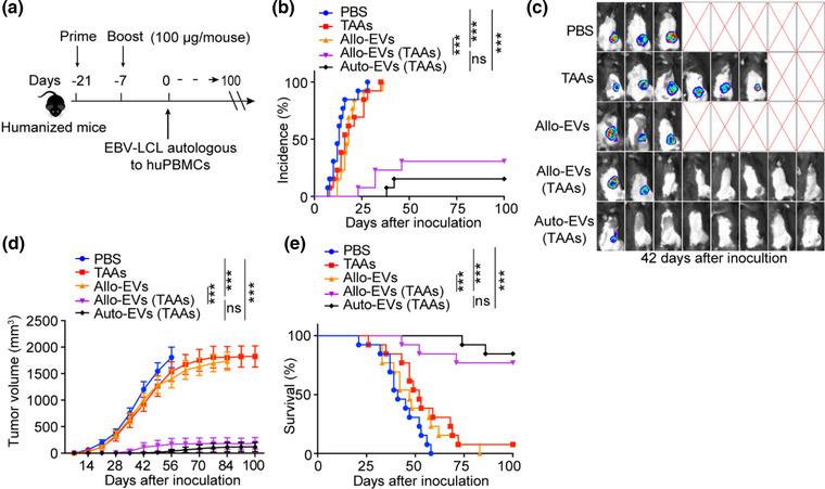 https://cdn.ncbi.nlm.nih.gov/pmc/blobs/74b9/10471836/f792692629bf/JEV2-12-12360-g005.jpg