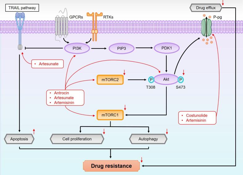 https://cdn.ncbi.nlm.nih.gov/pmc/blobs/74ce/11977367/80f745a0b713/cdr-8-13.fig.7.jpg