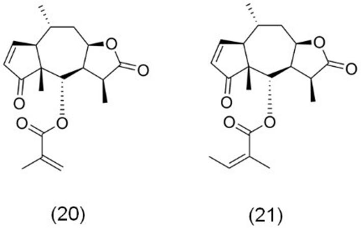 https://cdn.ncbi.nlm.nih.gov/pmc/blobs/74ce/11977367/b879b74aee6d/cdr-8-13.fig.5.jpg