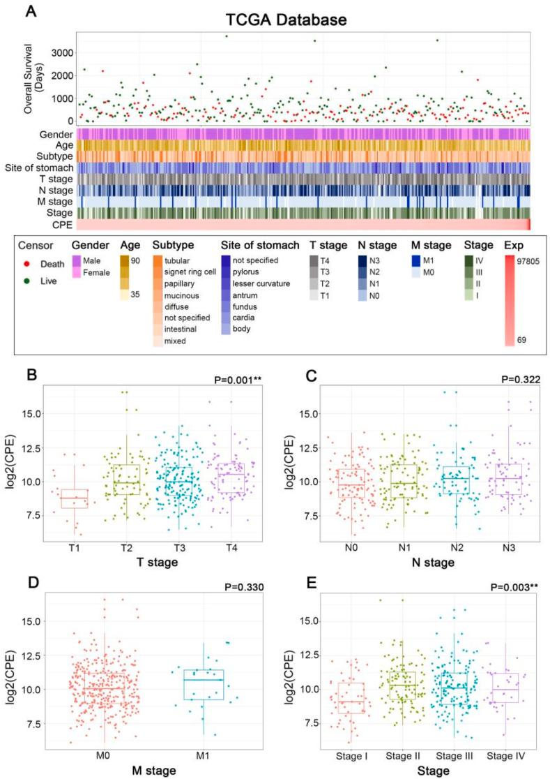 https://cdn.ncbi.nlm.nih.gov/pmc/blobs/74e1/11058891/28cd2d02ccda/gr3.jpg