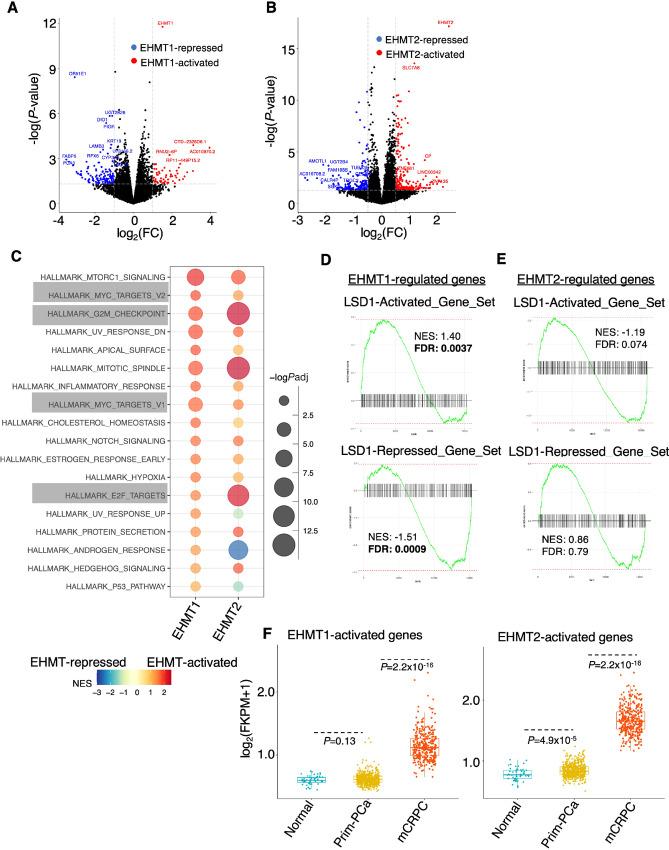 https://cdn.ncbi.nlm.nih.gov/pmc/blobs/74e2/10470473/22489783be1b/crc-23-0208_fig2.jpg