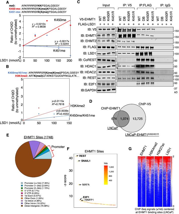 https://cdn.ncbi.nlm.nih.gov/pmc/blobs/74e2/10470473/904f088afcea/crc-23-0208_fig7.jpg