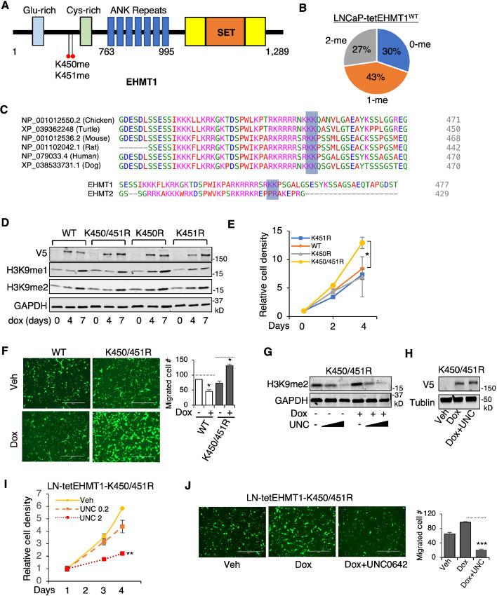 https://cdn.ncbi.nlm.nih.gov/pmc/blobs/74e2/10470473/fc1701666c03/crc-23-0208_fig4.jpg