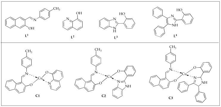 https://cdn.ncbi.nlm.nih.gov/pmc/blobs/74f0/12108479/730da6f6bdd1/antibiotics-14-00516-g005.jpg