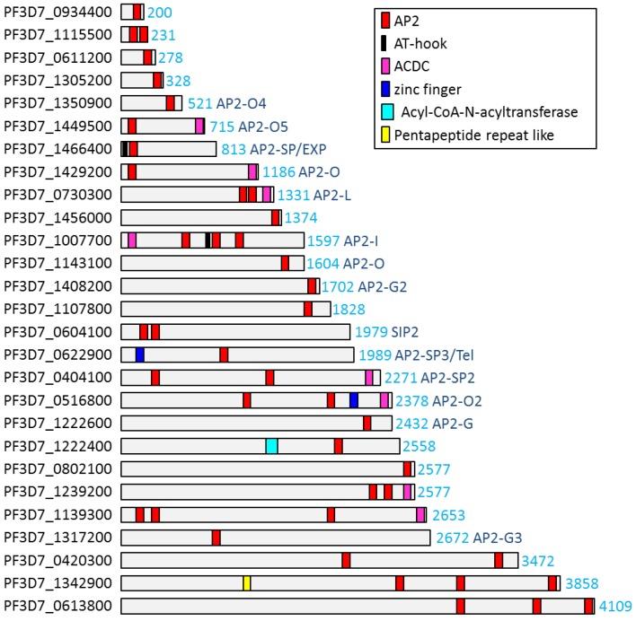 https://cdn.ncbi.nlm.nih.gov/pmc/blobs/74fc/6631176/cc0a9e9e3154/pathogens-08-00047-g001.jpg
