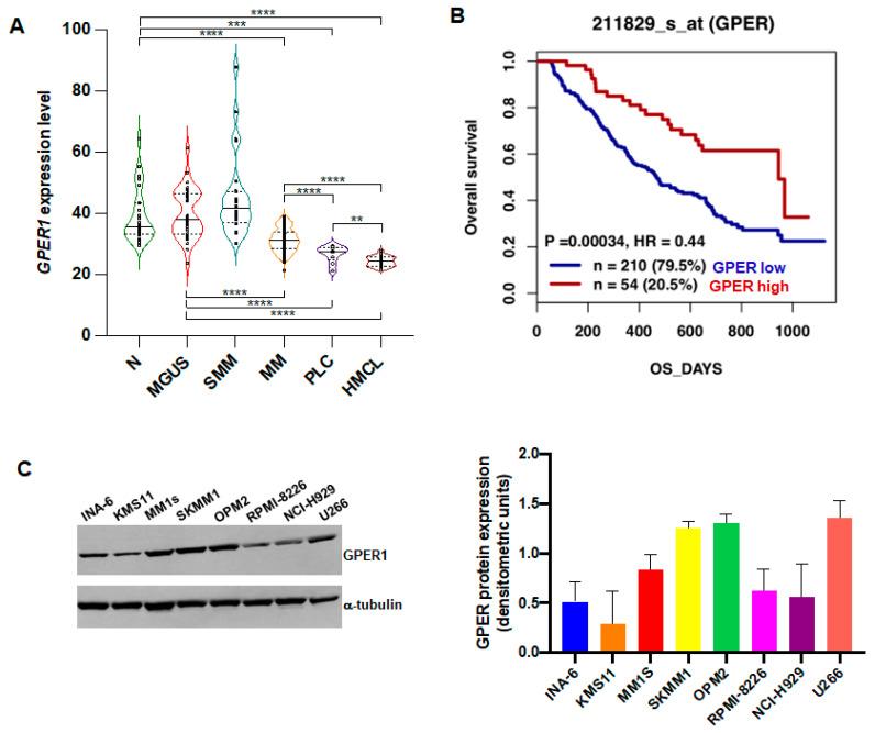 https://cdn.ncbi.nlm.nih.gov/pmc/blobs/751b/10526814/1d5346155f5a/cells-12-02226-g001.jpg