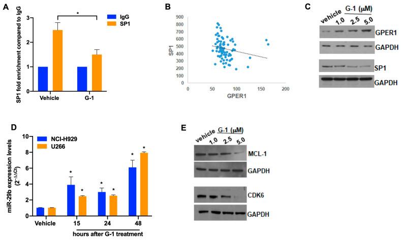 https://cdn.ncbi.nlm.nih.gov/pmc/blobs/751b/10526814/d8ab8b5c7305/cells-12-02226-g004.jpg