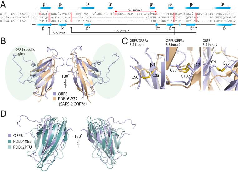 https://cdn.ncbi.nlm.nih.gov/pmc/blobs/7524/7812859/ab8ce9401fe1/pnas.2021785118fig02.jpg