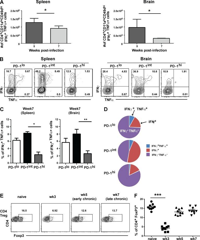 https://cdn.ncbi.nlm.nih.gov/pmc/blobs/7544/4995081/7cc651dbb508/JEM_20151995_Fig4.jpg