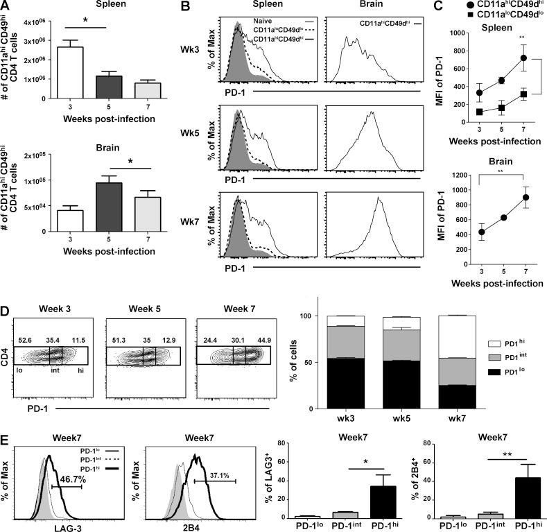 https://cdn.ncbi.nlm.nih.gov/pmc/blobs/7544/4995081/f449a7ae08a0/JEM_20151995_Fig3.jpg